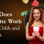 How Does Roulette Work-Rules, Odds, and Payouts
